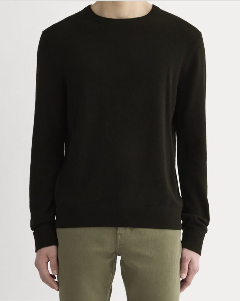 Everlane The Cashmere Crew in Black