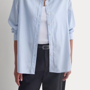 Everlane Everyday Shirt in Silky Cotton in Light Blue
