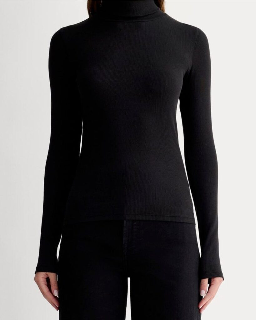 Everlane The Luxe Rib Turtleneck in Black